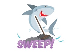 TOTAL SWEEP FOR SHARKS AND RAYS!!!